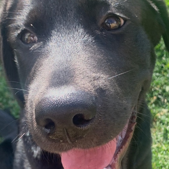 Meet your Posher, Azer - Picture 1 of 1